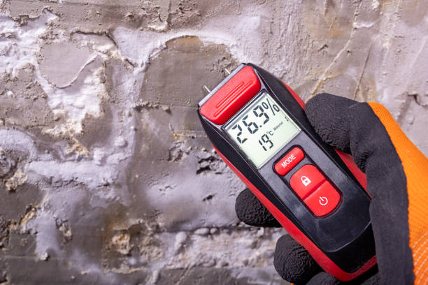 Best Residential Mold Removal  in Wautoma, WI
