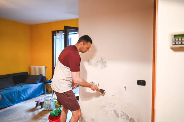 Best Home Mold Removal  in Wautoma, WI