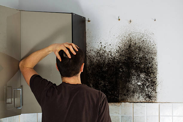 Best Mold Removal Near Me  in Wautoma, WI